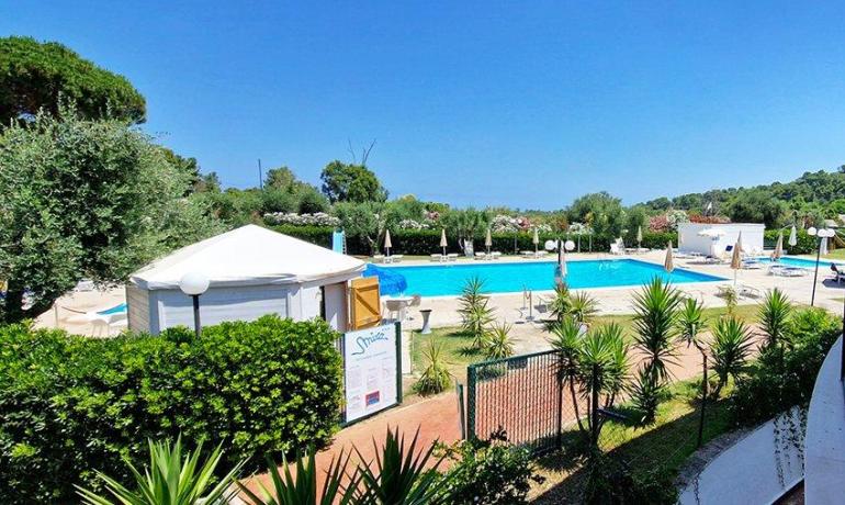 Piscina scintillante, cielo azzurro, verde rigoglioso: un'oasi di relax e serenità.